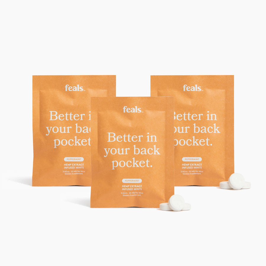 Mints Travel Bundle - Feals